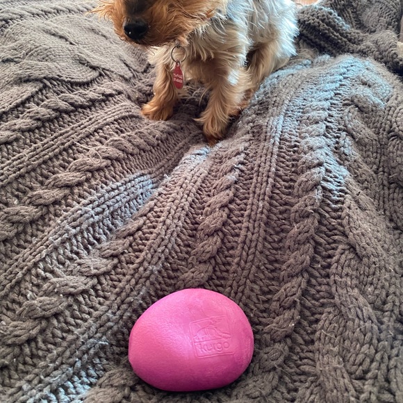 Kurgo Dog Toy Pink - Picture 2 of 3